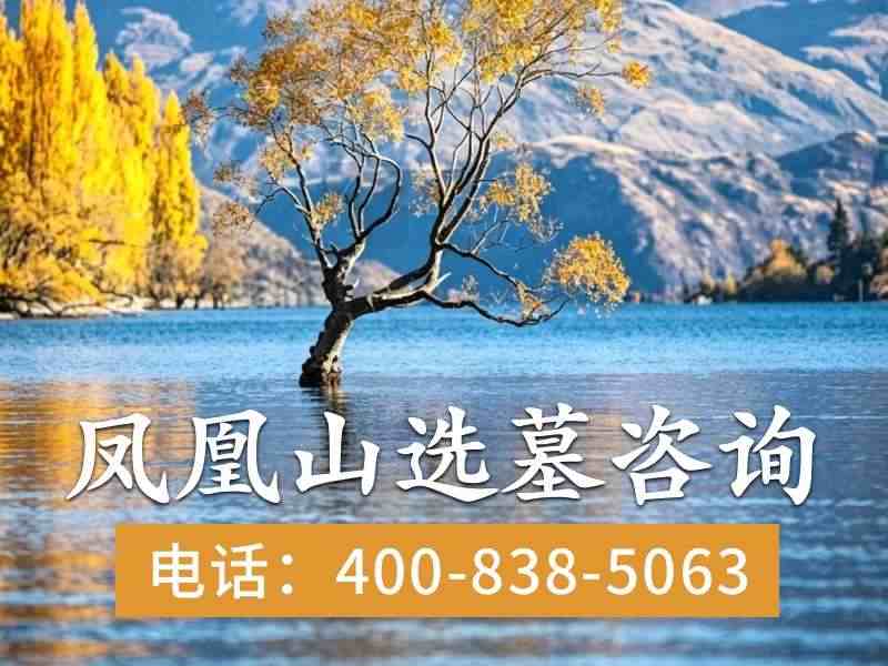 昌平凤凰山陵园雨后云雾升腾，幻化出仙境般的自然奇观